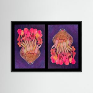 Kollektiv process & Kluster av lustar